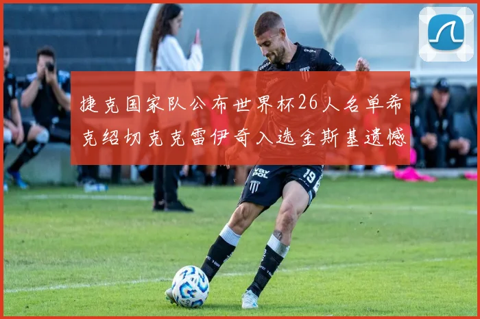 捷克国家队公布世界杯26人名单希克绍切克克雷伊奇入选金斯基遗憾落选