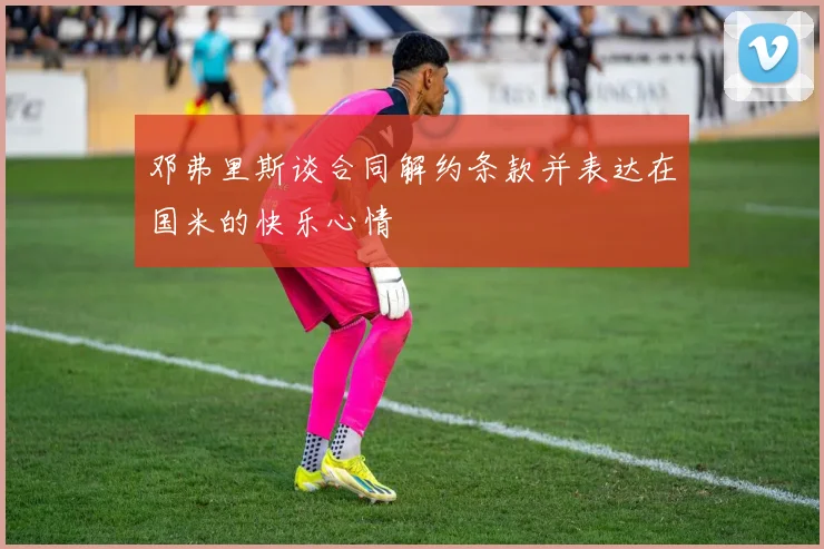 邓弗里斯谈合同解约条款并表达在国米的快乐心情